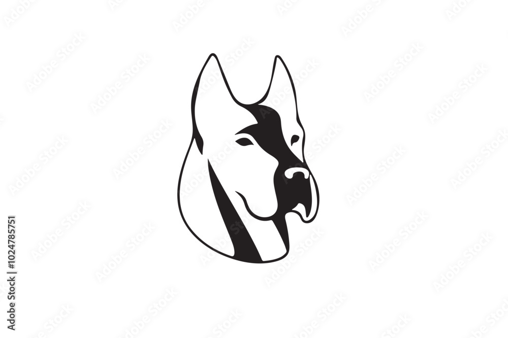 black and white dog