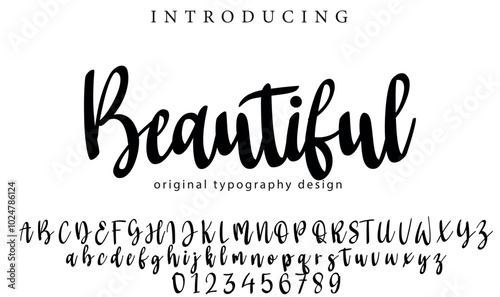 Beautiful Font Stylish brush painted an uppercase vector letters, alphabet, typeface
