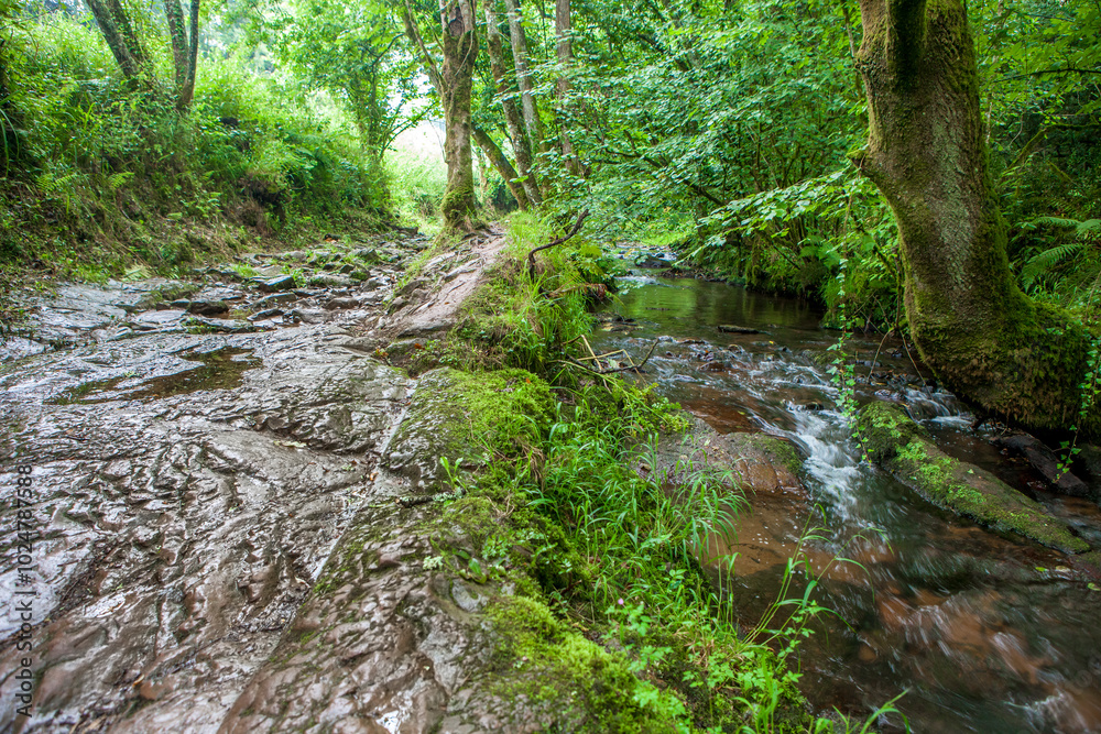 Route of the Profundu River, Villaviciosa, Asturias, Spain