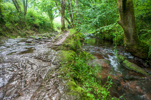 Route of the Profundu River, Villaviciosa, Asturias, Spain photo