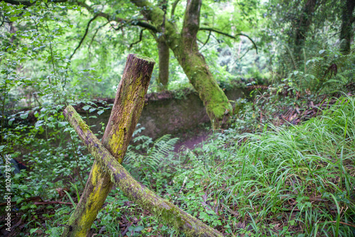 Route of the Profundu River, Villaviciosa, Asturias, Spain photo