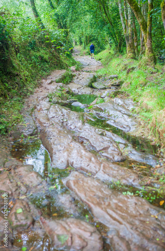 Route of the Profundu River, Villaviciosa, Asturias, Spain photo