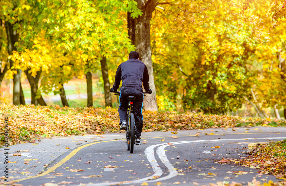 Cyclist ride on the bike path in the city Park
Cyclist ride on the bike path in the city Park