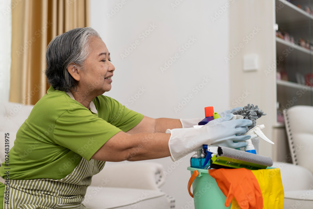 Smiling Asian Senior Woman with Cleaning Supplies in living room Smiling Asian Senior Woman with Cleaning Supplies in living room