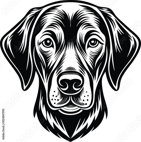 labrador retriever dog silhouette vector design,isolated on a white background.