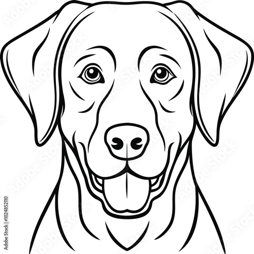 portrait of a labrador