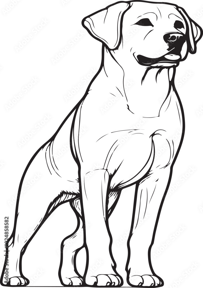 Fototapeta premium Labrador line art, Labrador line drawing, Labrador outline drawing, Labrador illustration