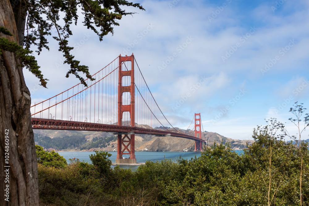 Breathtaking view of the iconic Golden Gate Bridge spanning the bay, framed by lush greenery and a clear blue sky. Breathtaking view of the iconic Golden Gate Bridge spanning the bay, framed by lush greenery and a clear blue sky.