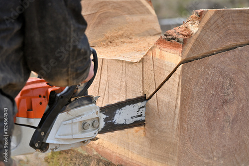 Man cutting wood with chainsaw photo