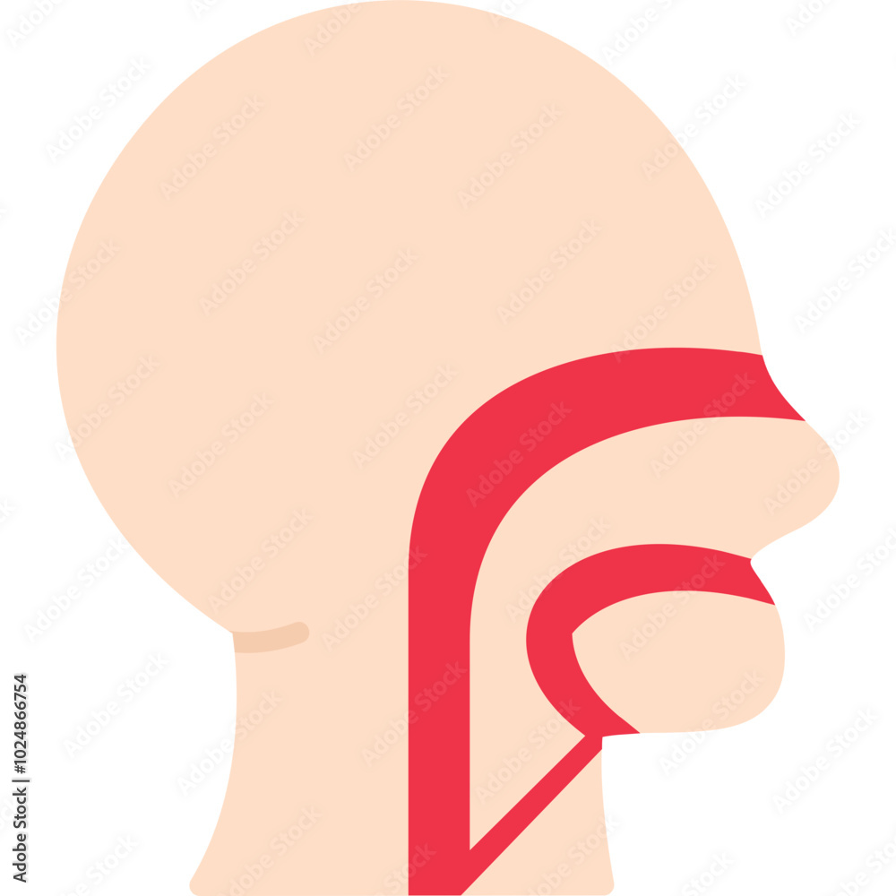 Nasal Icon Nasal Icon