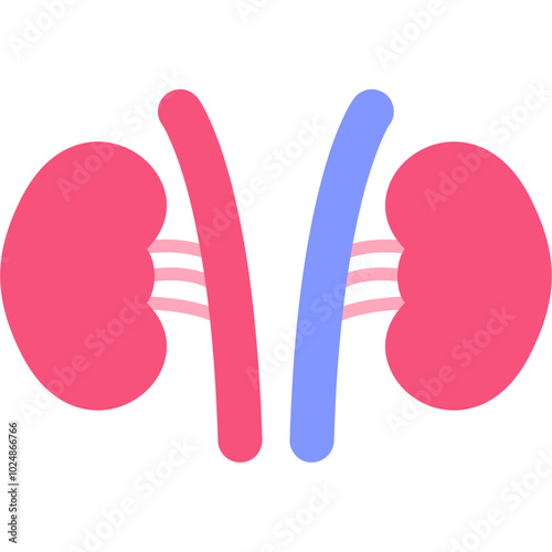 Kidney Icon