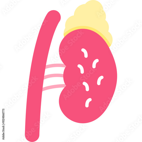 Adrenal Gland Icon