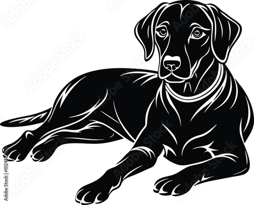 labrador retriever dog silhouette vector design, isolated on a white background.