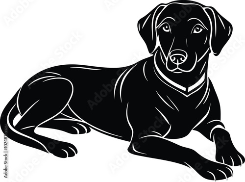 labrador retriever dog silhouette vector design, isolated on a white background.