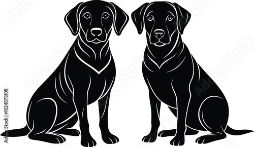 black labrador retriever dog