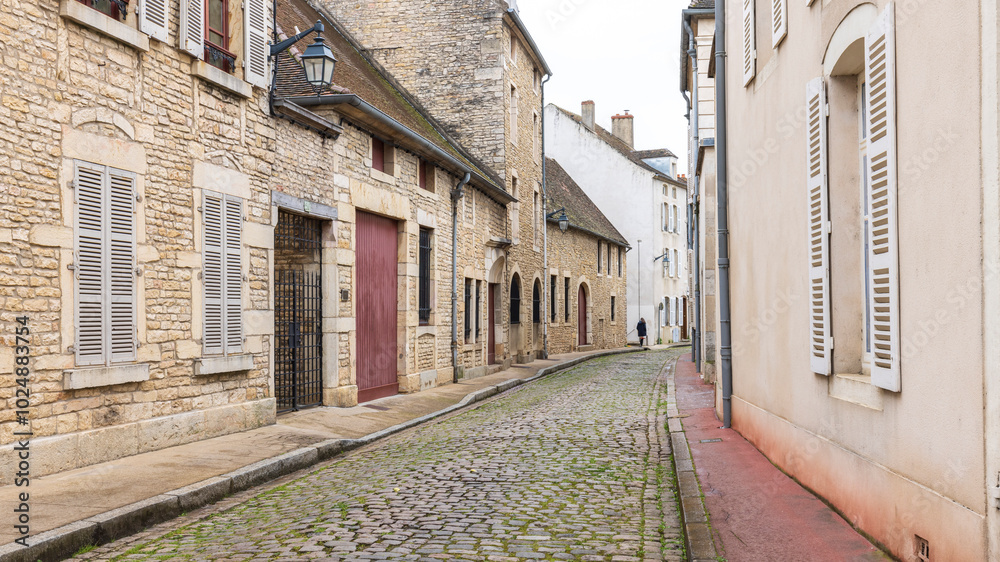 Obraz premium Historic houses long cobblestone street in ancient town Beaune in Burgundy region in France
