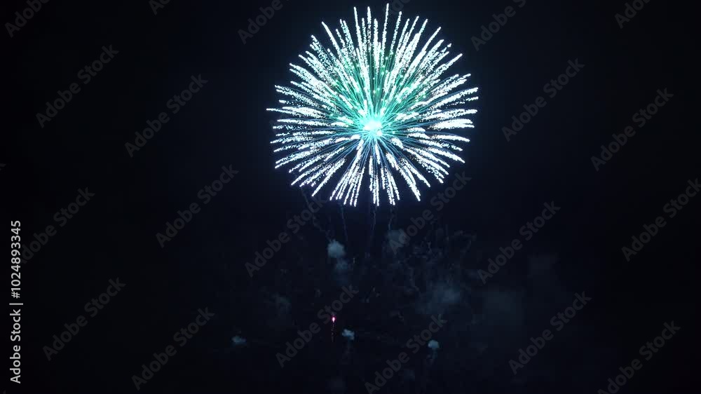 Fireworks at the International Fireworks Festival Fireworks at the International Fireworks Festival