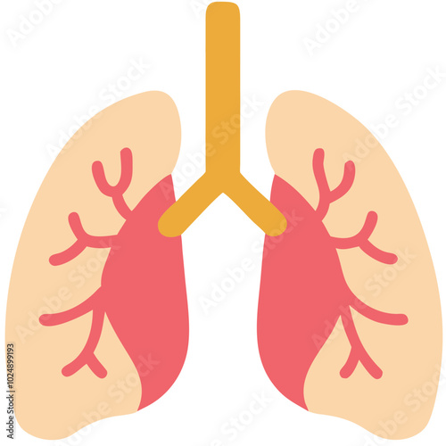  Medical Lungs Anatomy Vector Illustration for Health and Education