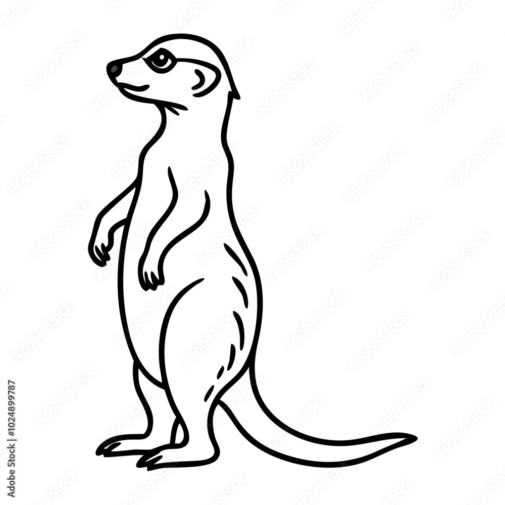 Meerkat Standing Outline Vector Illustration for Wildlife Education and Design Meerkat Standing Outline Vector Illustration for Wildlife Education and Design