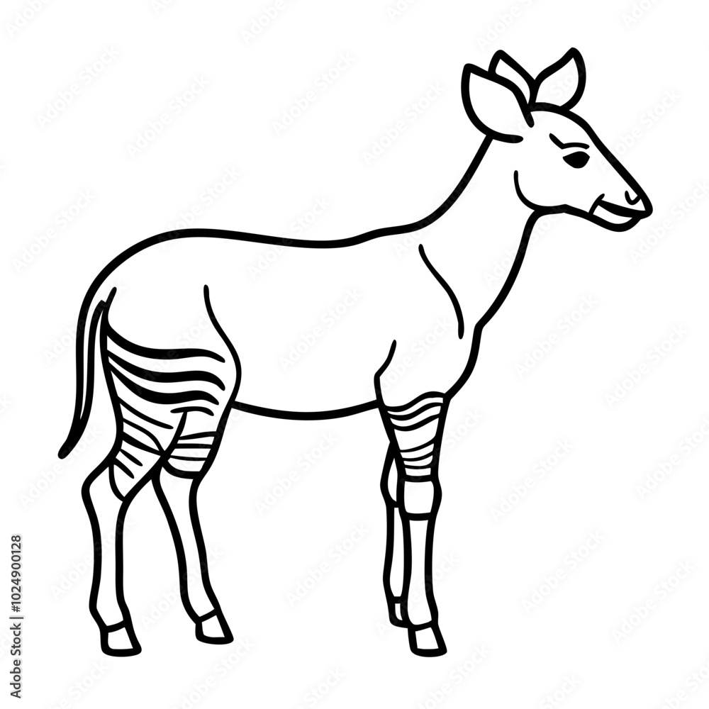Vector Illustration of Okapi Outline in Simple Artistic Style Vector Illustration of Okapi Outline in Simple Artistic Style