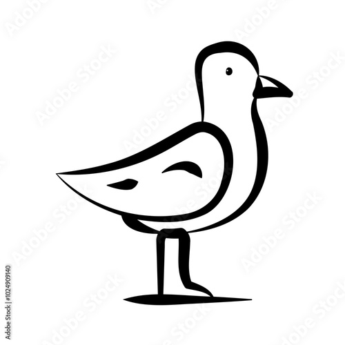 seagulls on the beach
