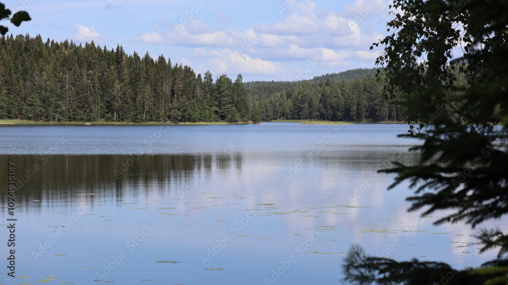 Lake in sweden Lake in sweden