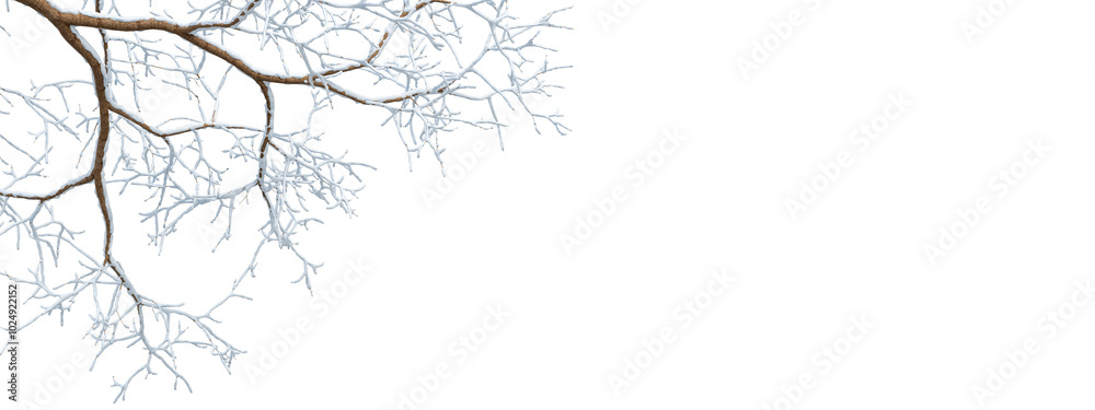 snow covered branches isolated on transparent snow covered branches isolated on transparent