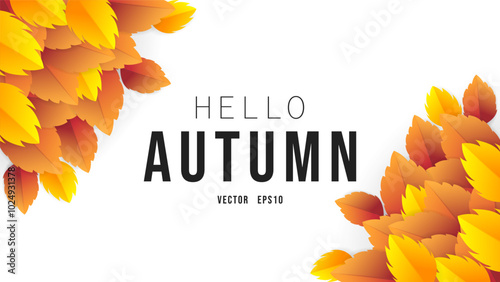 Hello autumn hand drawing calligraphy with leaf Autumn frame , for content online or web, banner and template, Simple cartoon flat style. illustration Vector EPS 10