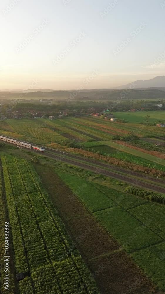 Aerial view of a train passing through plantation fields in the morning, transportation, indonesia Aerial view of a train passing through plantation fields in the morning, transportation, indonesia