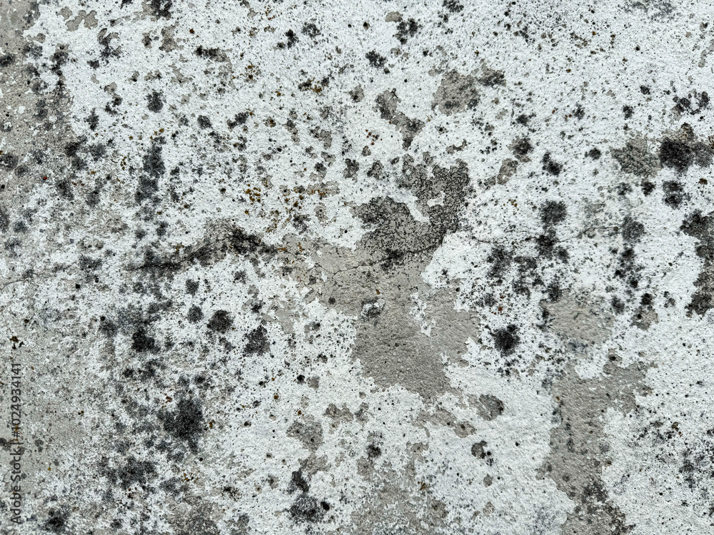 Weathered concrete surface with black mold spots texture background for architectural design Weathered concrete surface with black mold spots texture background for architectural design