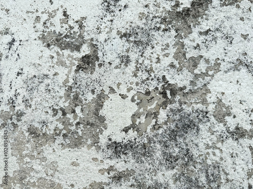 Wallpaper Mural Weathered wall texture with gray and white patterns Torontodigital.ca