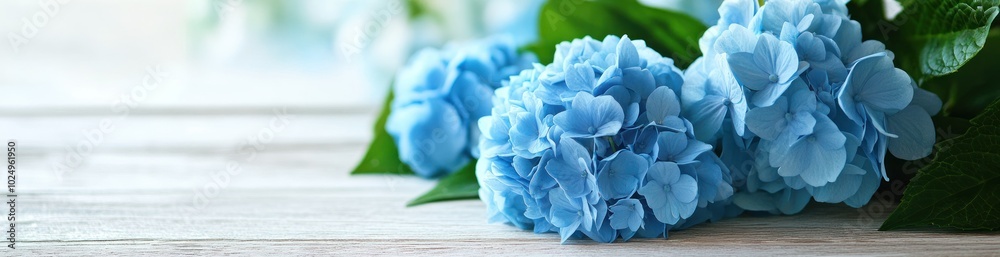 A serene arrangement of blue hydrangea flowers on a wooden surface. A serene arrangement of blue hydrangea flowers on a wooden surface.
