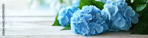 A serene arrangement of blue hydrangea flowers on a wooden surface.