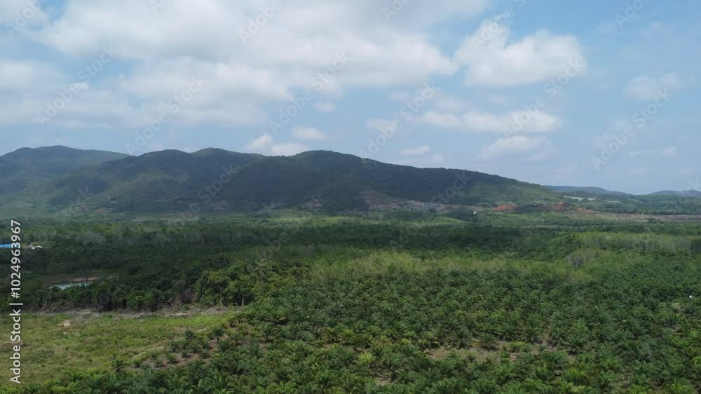 Beautiful view of the large mountains in South Kalimantan which are filled with trees, mountains lined up Beautiful view of the large mountains in South Kalimantan which are filled with trees, mountains lined up
