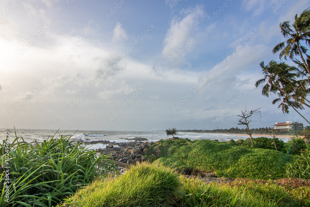 Beach, with lava rocks and vegetation, view of the sea in the evening at sunset. Landscape with clouds in Induruwa, Bentota Beach, Sri Lanka, India, Asia Beach, with lava rocks and vegetation, view of the sea in the evening at sunset. Landscape with clouds in Induruwa, Bentota Beach, Sri Lanka, India, Asia