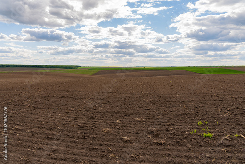 A vast plowed agricultural field stretches towards the horizon, bordered by lush green areas, while the sky features soft, white clouds and a vibrant blue backdrop