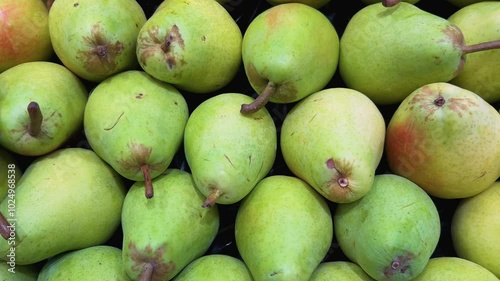 Willians pears in top view, Tracking shot on Bartlett pears arranged in greengrocer's box photo