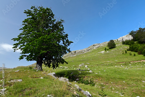 Gebirgslandschaft in den Dinarischen Alpen, Crveni Kuk, Bosnien-Herzegowina // Mountain range in the Dinaric Alps, Crveni Kuk, Bosnia-Herzegovina photo