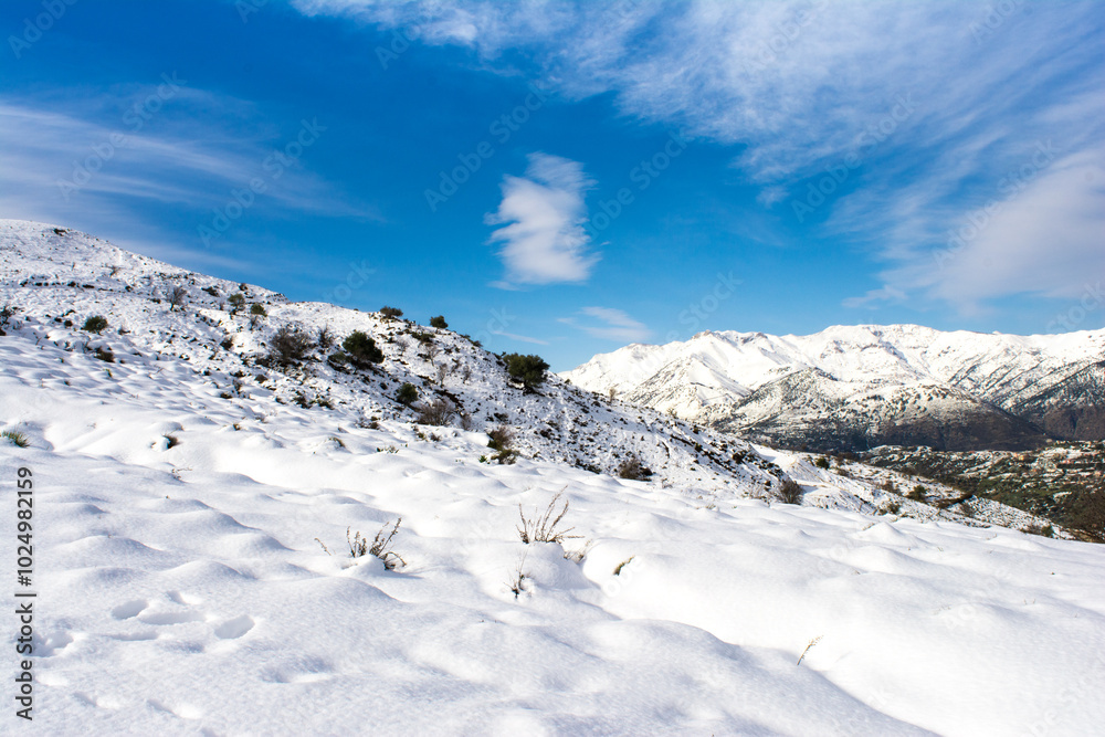 Winter snow mountain cabin panorama. Winter mountain snow forest tree. landscape mountain snow. Winter and cold Winter forest in Algeria, Jijel North Africa, snow covered trees and cold weather. Arabs Winter snow mountain cabin panorama. Winter mountain snow forest tree. landscape mountain snow. Winter and cold Winter forest in Algeria, Jijel North Africa, snow covered trees and cold weather. Arabs