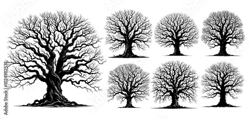 dead trees. eps scary dead old leafless dry trees realistic vector detailed illustration. silhouette crooked spooky tree set reflecting horror, death, pollution, winter etc concept.