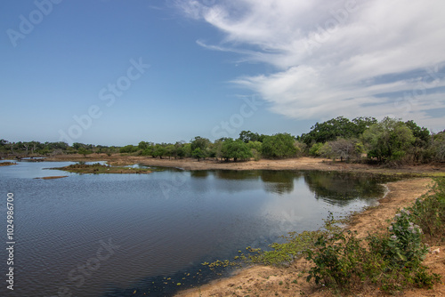 The oldest nature reserve in a great landscape. Natural environment in the morning at sunrise. Pure nature in the steppe landscape in Yala National Park, Uva, Sri Lanka, India, Asia