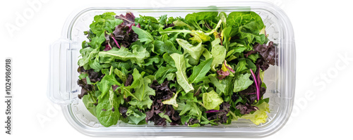 Top view of a plastic container filled with fresh, mixed salad greens on a white background, perfect for healthy eating and meal prep ideas. photo