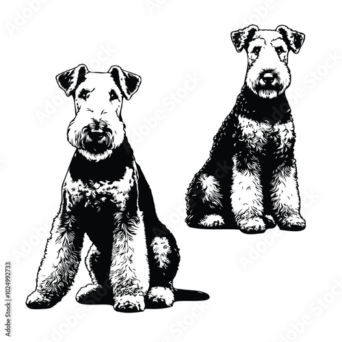 Airedale Terrier clean vector silhouettes on white background Close up of an Airedale terrier
 Airedale Terrier Dog on a white background vector illustration Silhouette of Airedale terrier dog