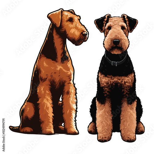 Airedale Terrier watercolor mascots, Close up of an airedale terrier, Watercolour silhouettes of dog on transparent background