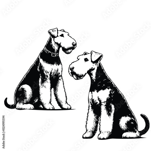 Airedale Terrier clean vector silhouettes on white background Close up of an Airedale terrier
 Airedale Terrier Dog on a white background vector illustration Silhouette of Airedale terrier dog