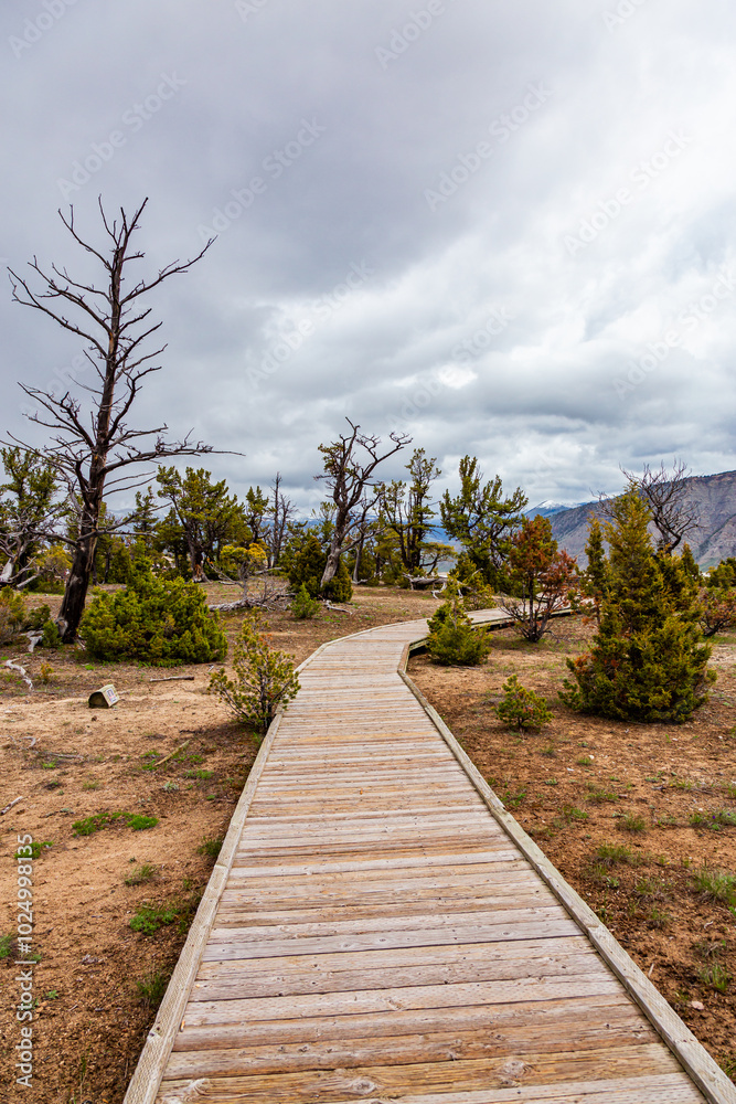 Scenic Walking Path Through Yellowstone National Park in Wyoming Under Cloudy Skies Scenic Walking Path Through Yellowstone National Park in Wyoming Under Cloudy Skies