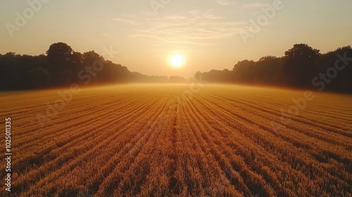 Serene Sunrise Over Countryside Farm Field Captured with DJI Mavic Air 2 Drone