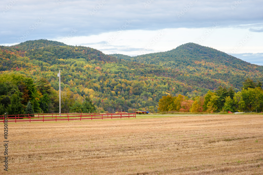 Obraz premium Harvested field with forested mountains in background on a partly cloudy autumn day