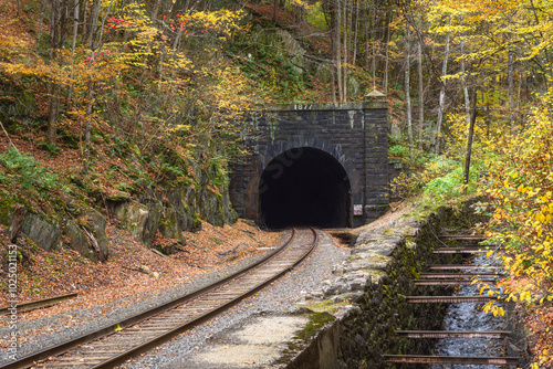 Empty railway track going into a tunnel in the mountains in autumn. Beautiful fall foliage. photo