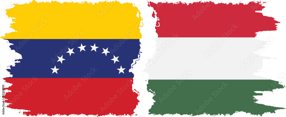 Hungary and Venezuela grunge flags connection, vector Hungary and Venezuela grunge flags connection, vector